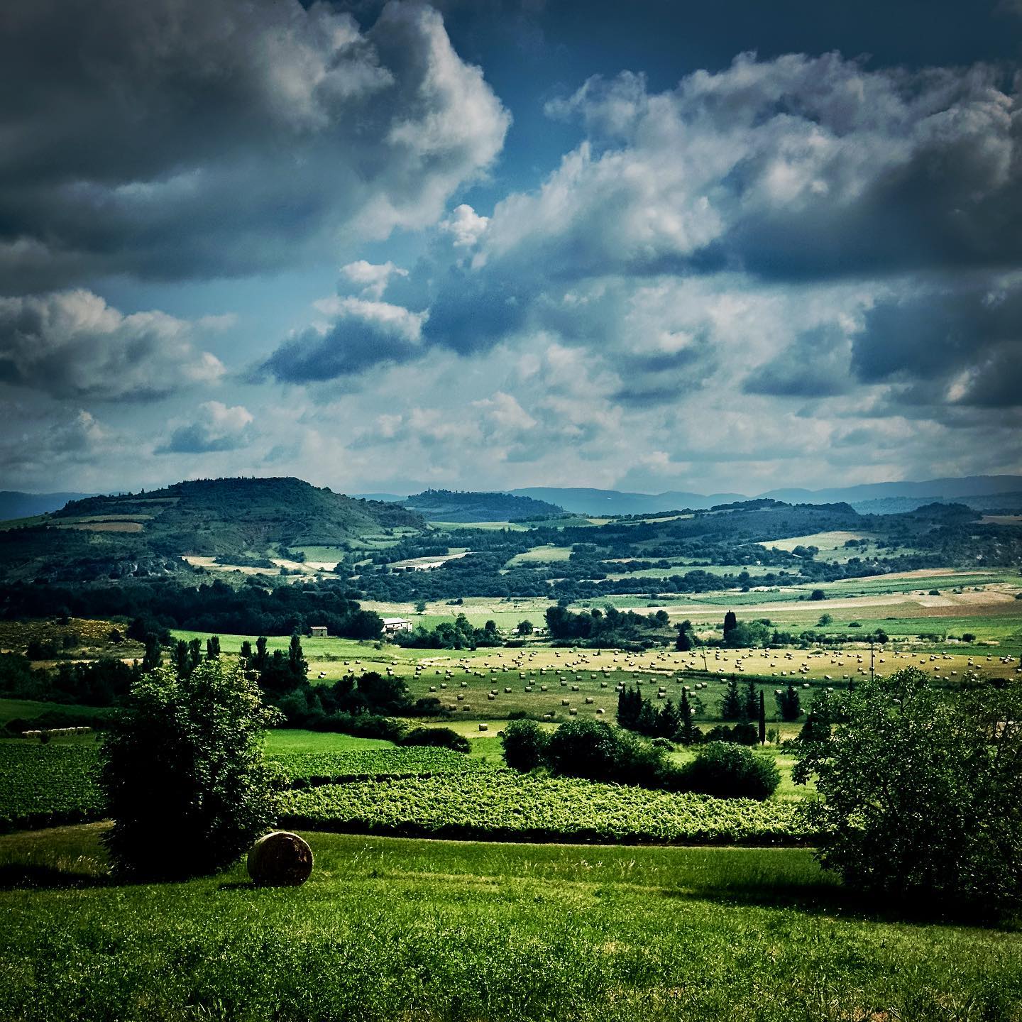 Paysage de la Via Magdalena en Pays cathare